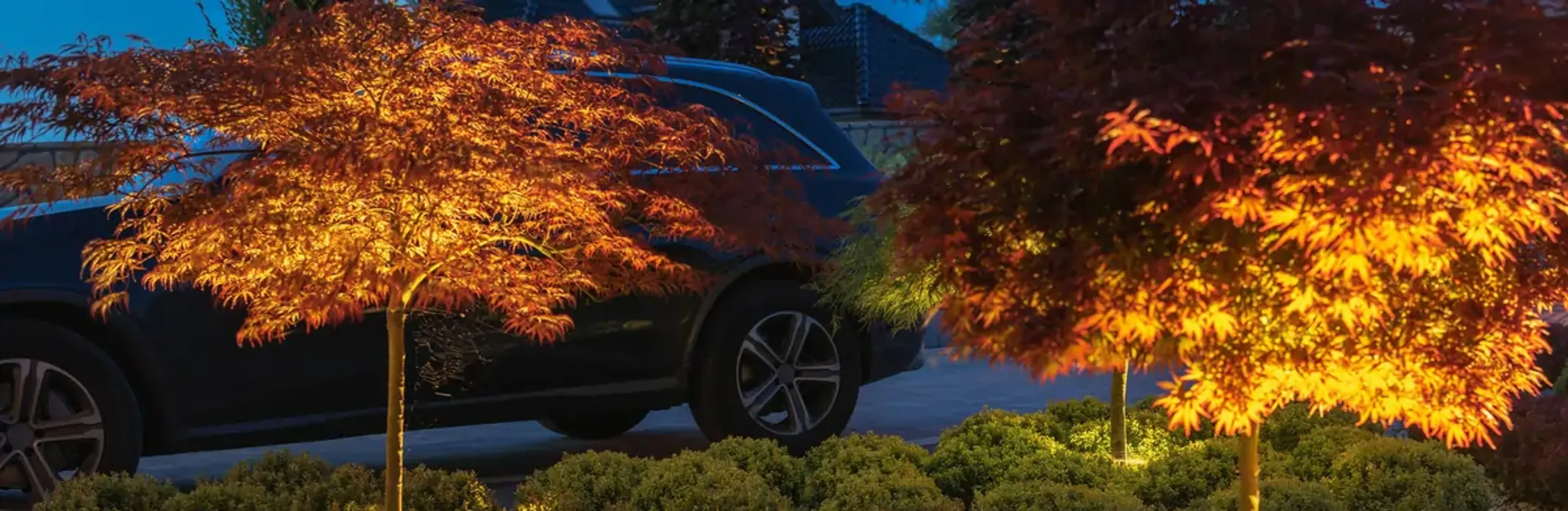 landscape lighting